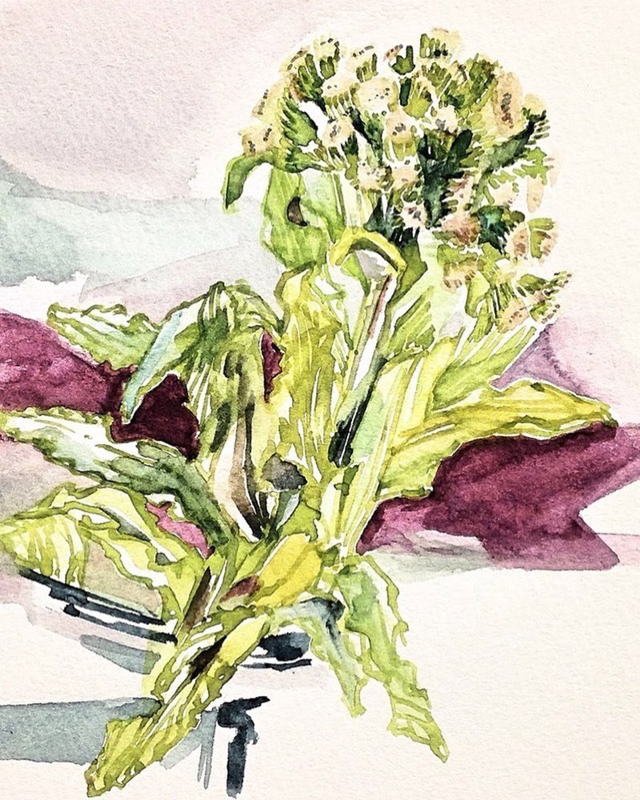 #ふきのとう #illustagram #illustration #水彩画 #植物-1