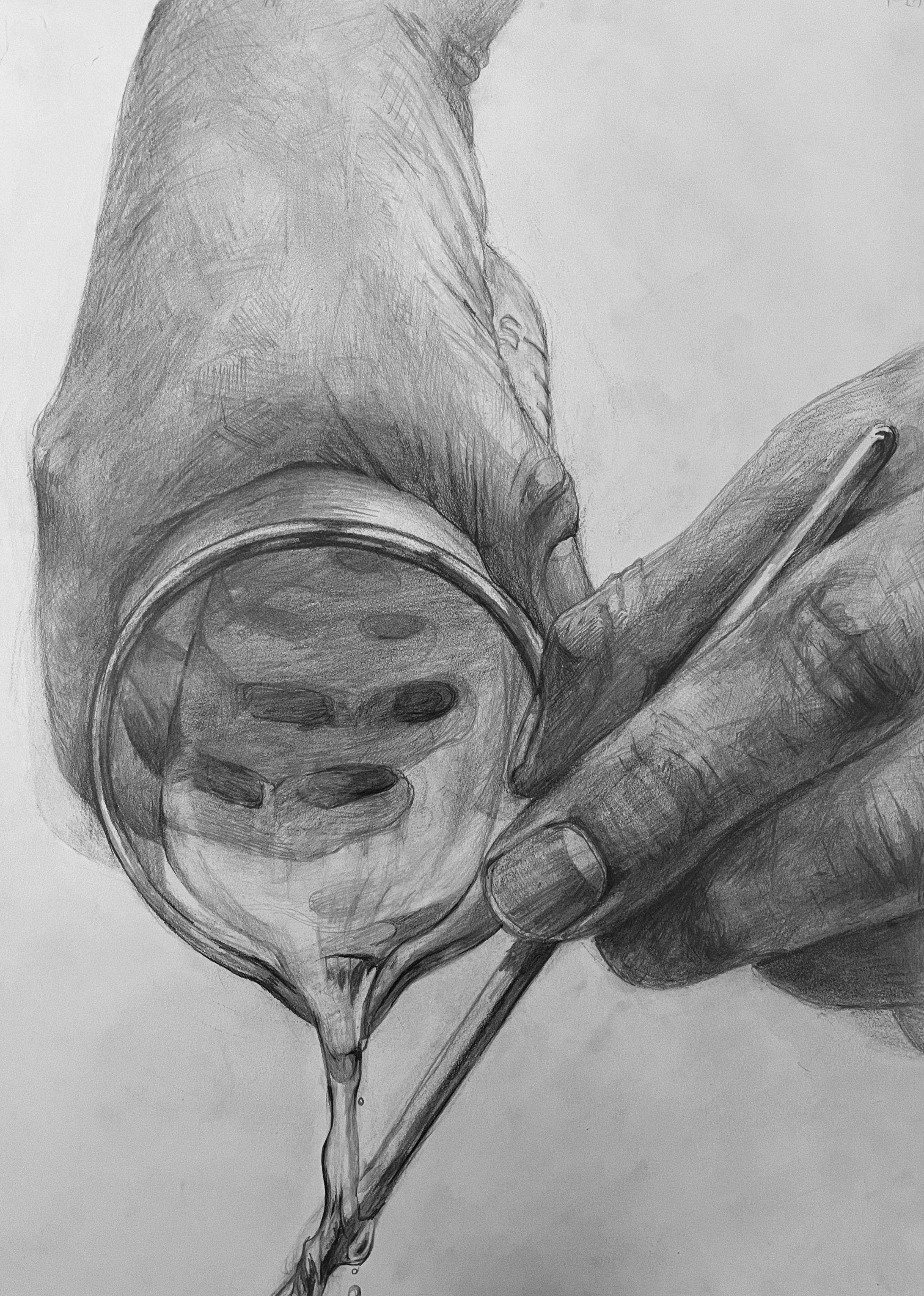 手のデッサン-1