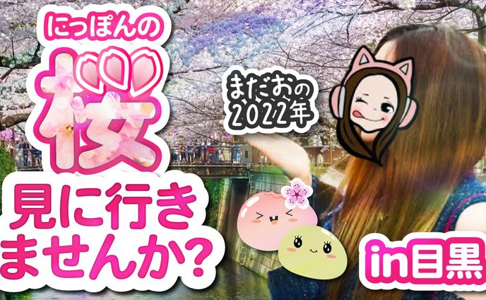 グラフィックデザイナー、vlog
