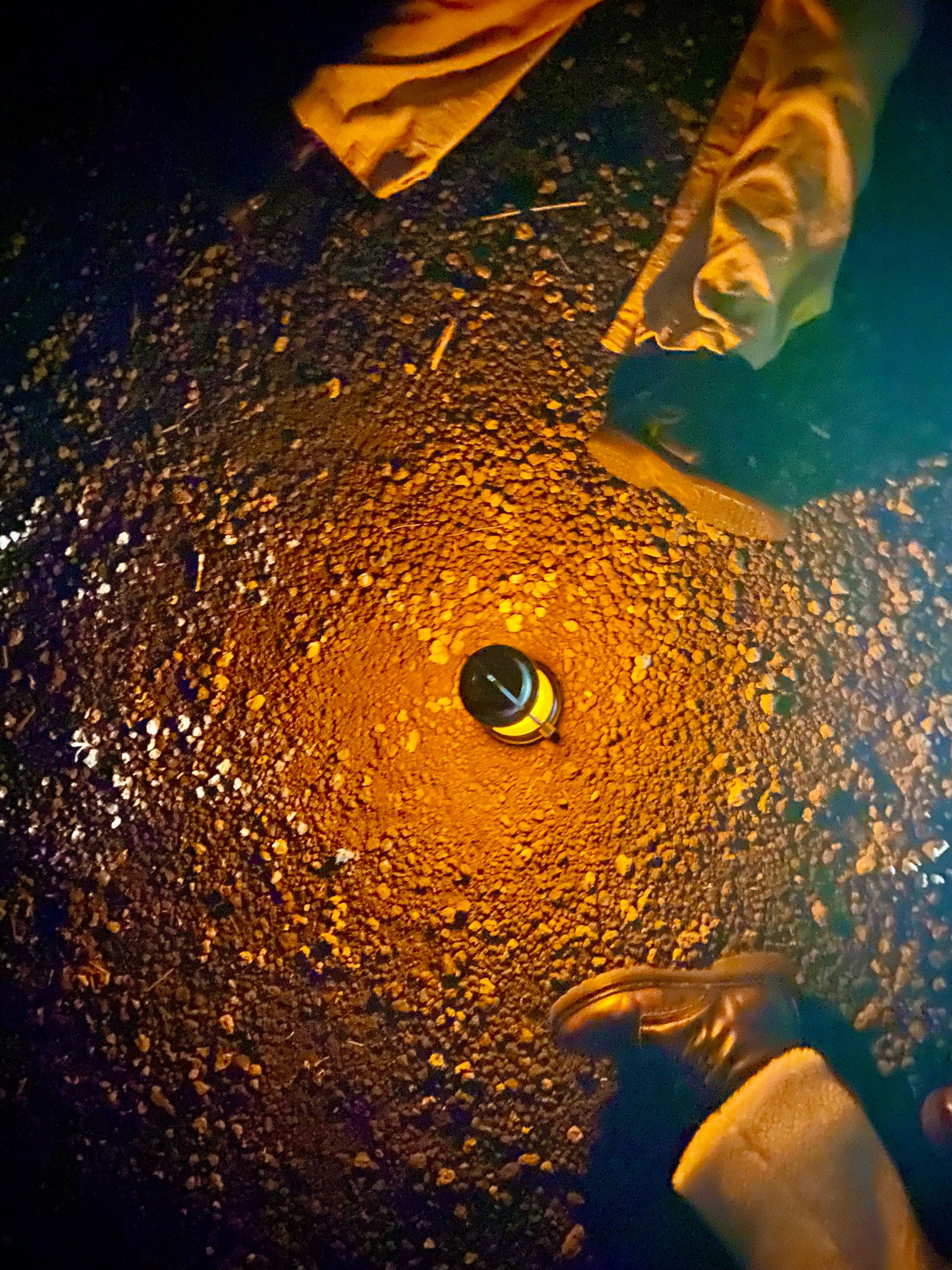 保坂兄弟のキャンプで間接照明-1