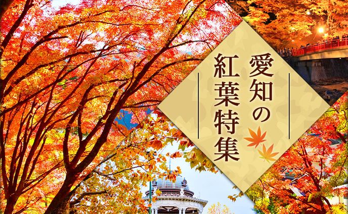【バ゙゙ナー】紅葉特集