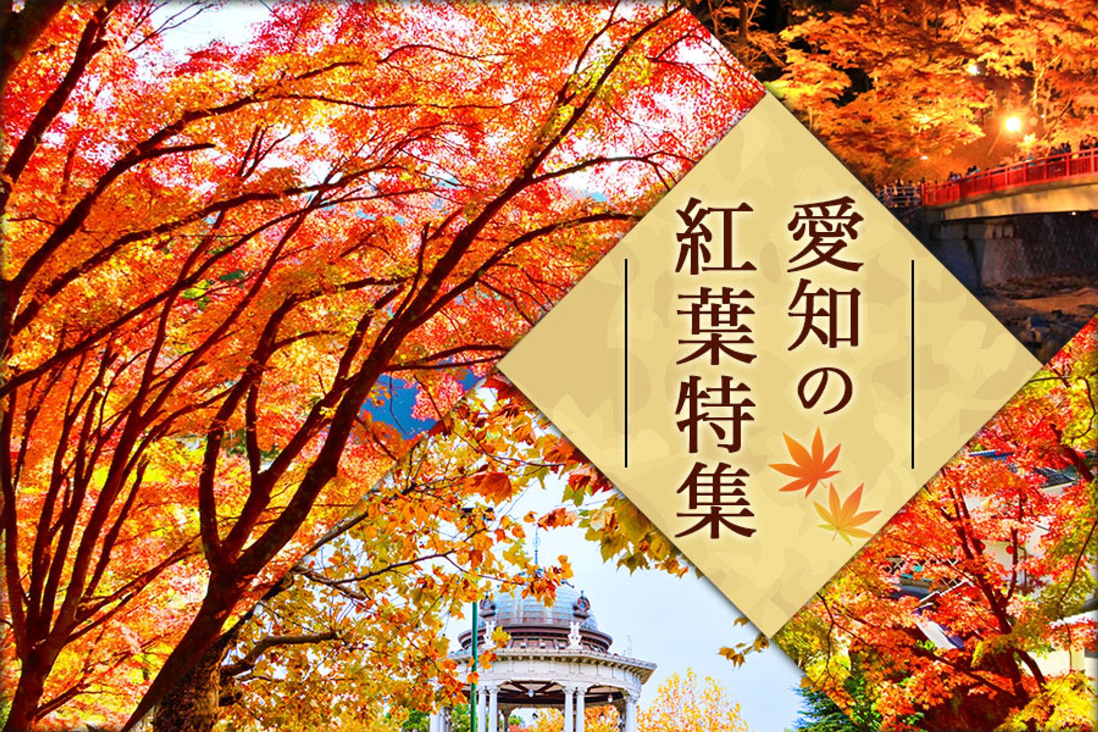 【バ゙゙ナー】紅葉特集-1