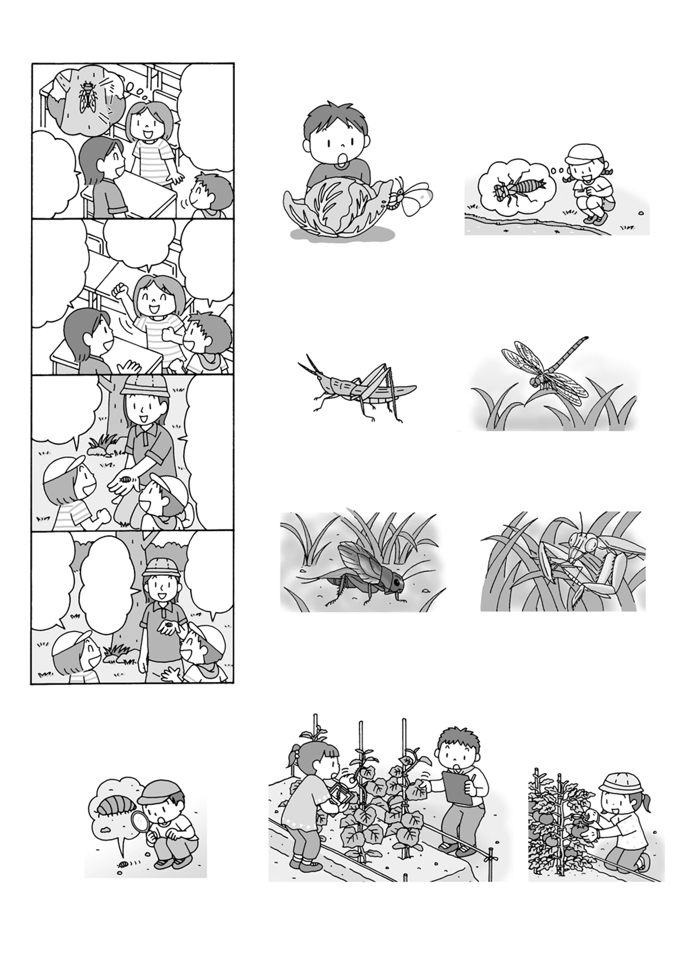 小学館　教育技術生活科イラスト-1
