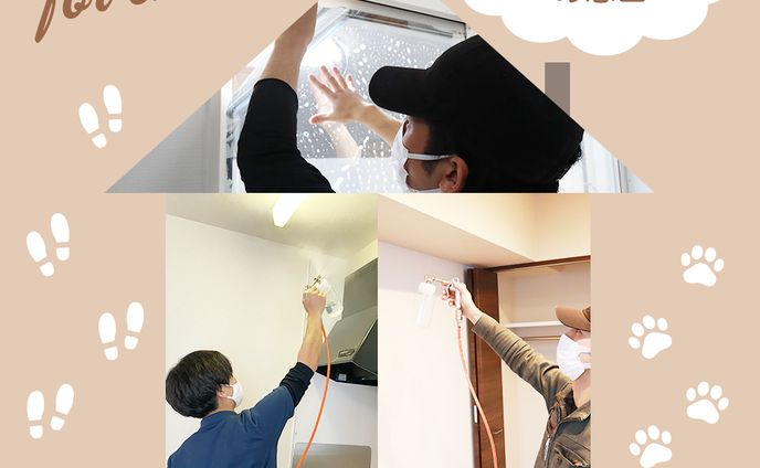 2017、インスタ投稿