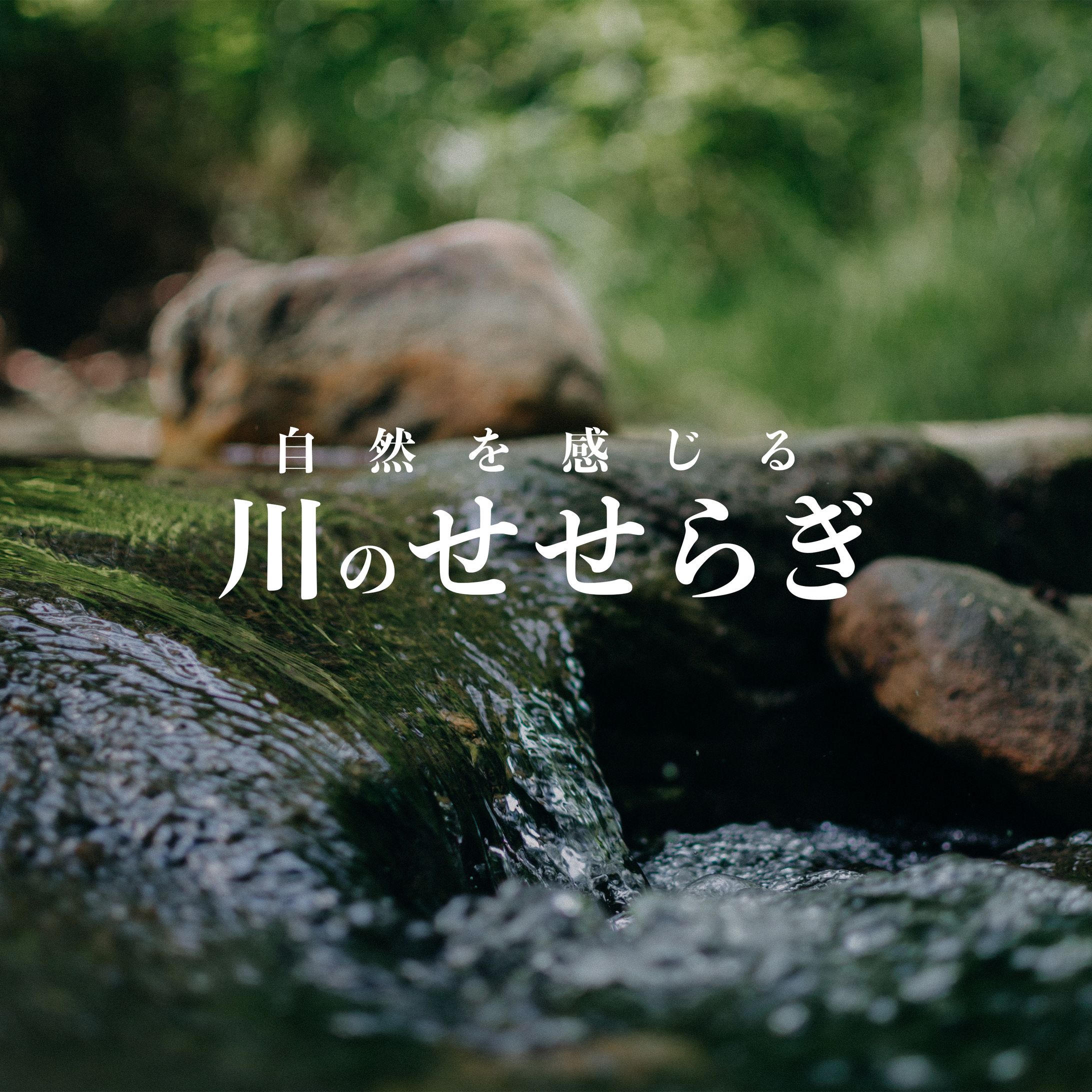 アルバムジャケット一覧【自然音】-1