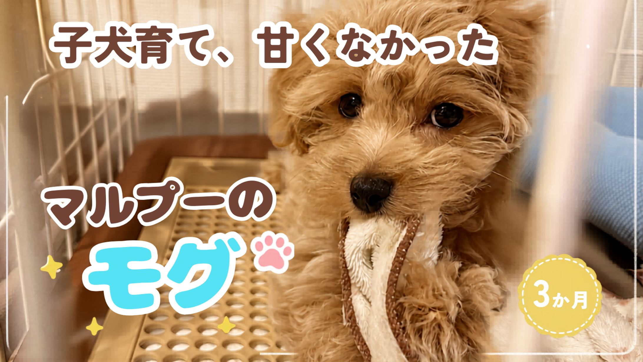YouTubeのサムネイル画像-1