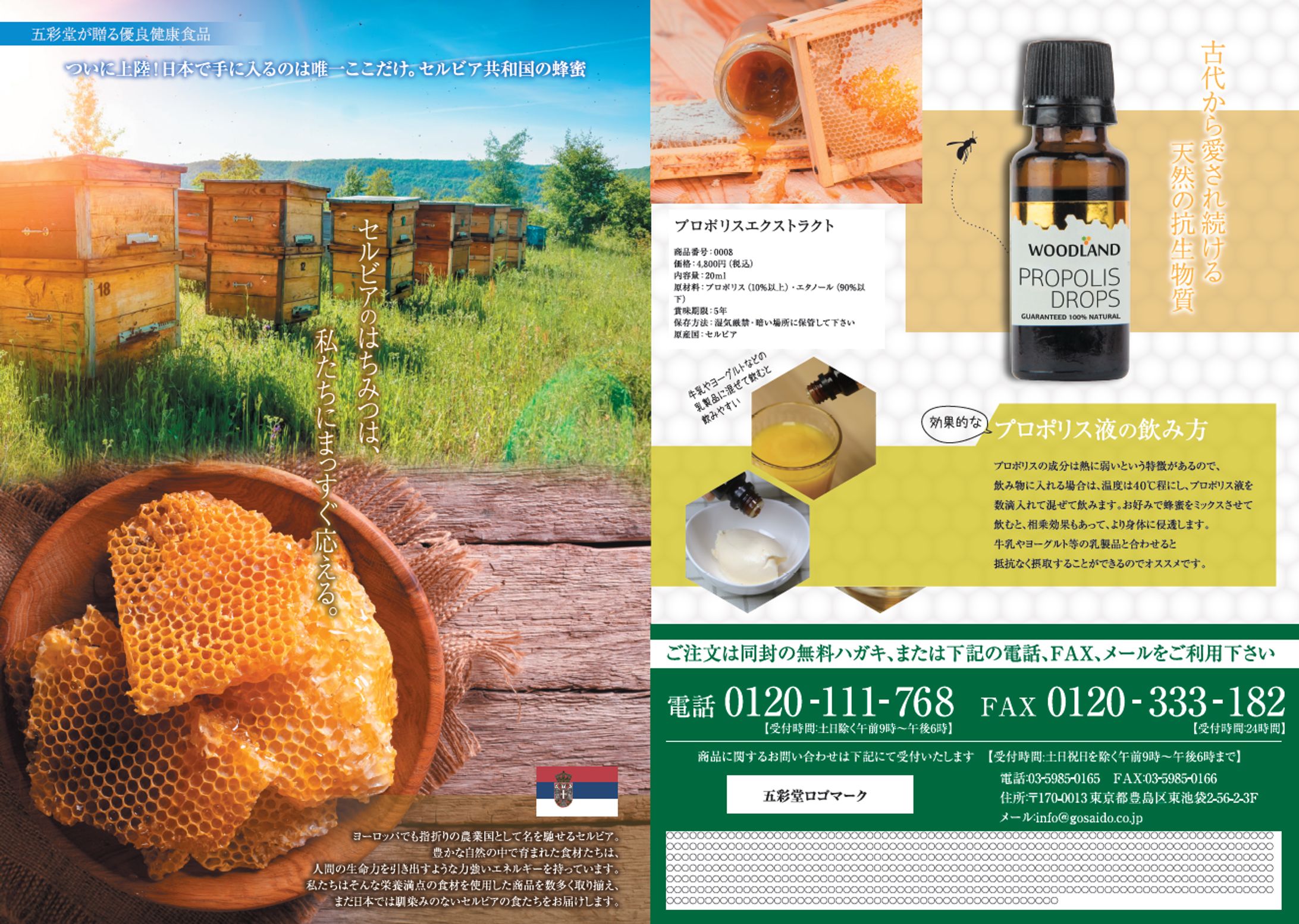 セルビアハチミツ通販　チラシ-1