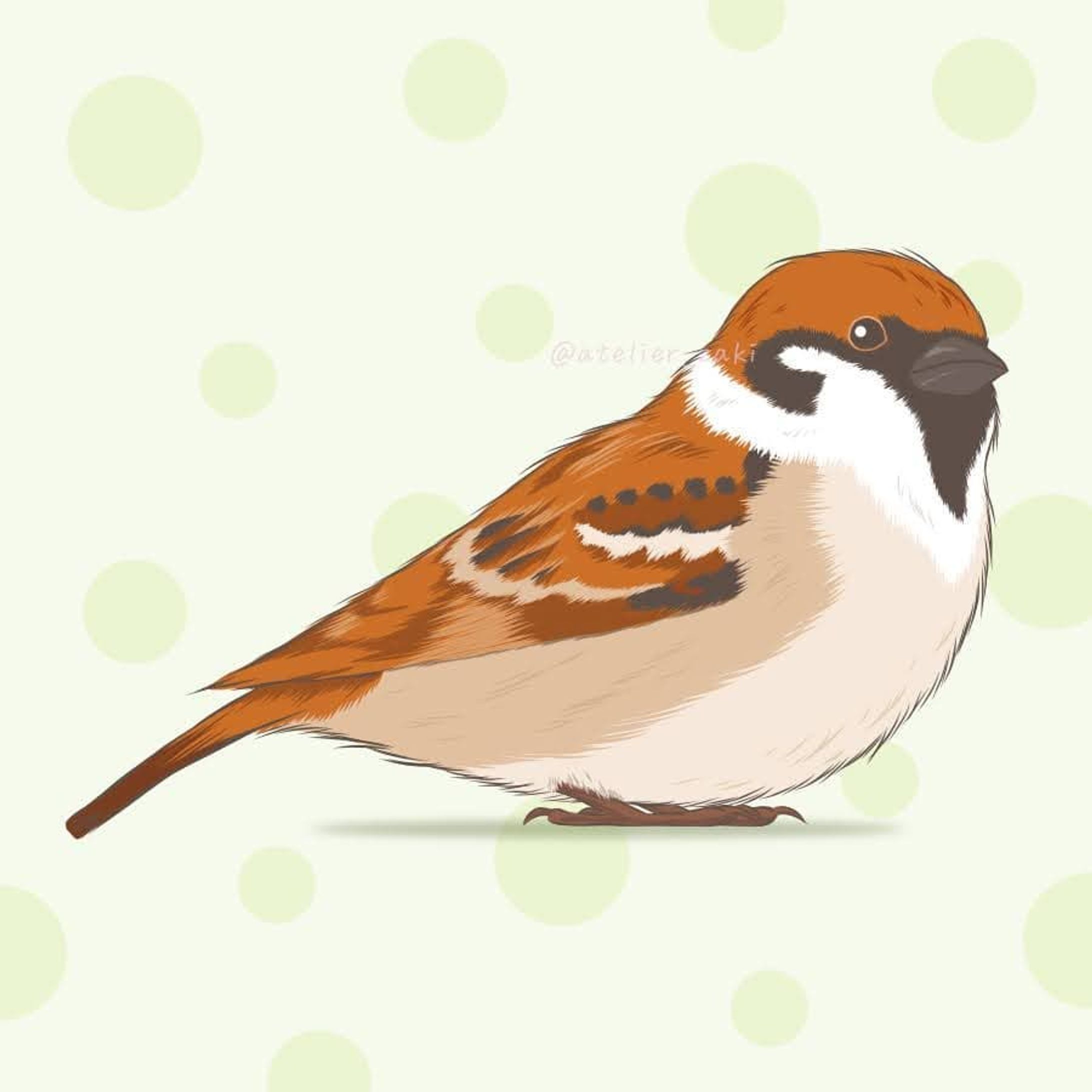 野鳥撮影大好き旦那氏のリクエストでスズメ描いてみたの巻！
この時期特にもふもふになってて可愛いのよな🤣
小鳥も模様が面白かったりするから色々描いてみよかな🎵.
.
#スズメ #すずめ #雀 #sparrow #鳥 #小鳥 #野鳥 #bird #イラスト #illustration #絵 #デザイン #design #アート #art #手描き #手描きイラスト #イラストレーター #illustrator #デザイナー #グラフィックデザイナー #designer #イラストレーターと繋がりたい #イラストレーターさんと繋がりたい #デザイナーさんと繋がりたい
#adobefresco-1
