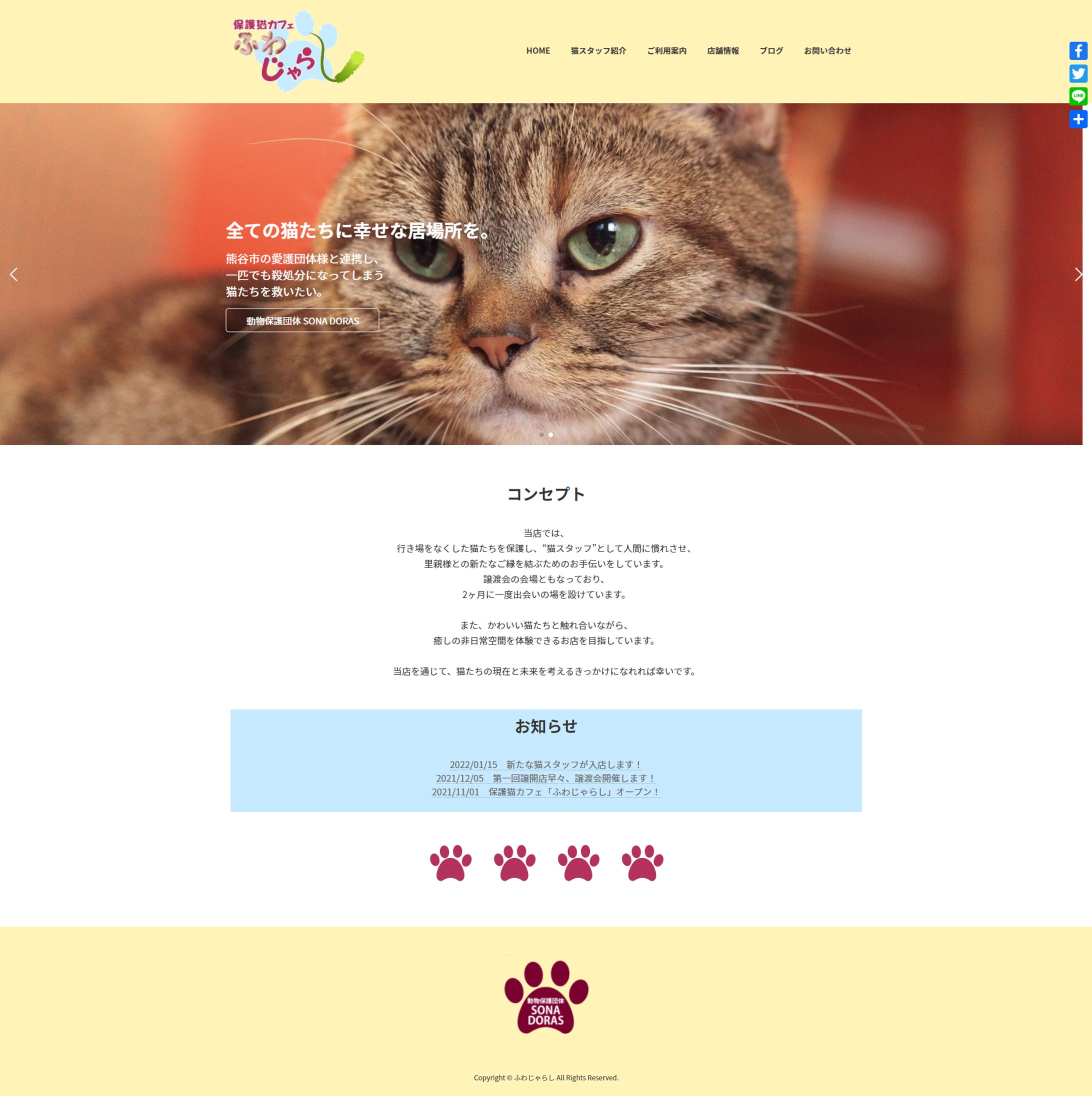 Webサイト制作「保護猫カフェ」-1