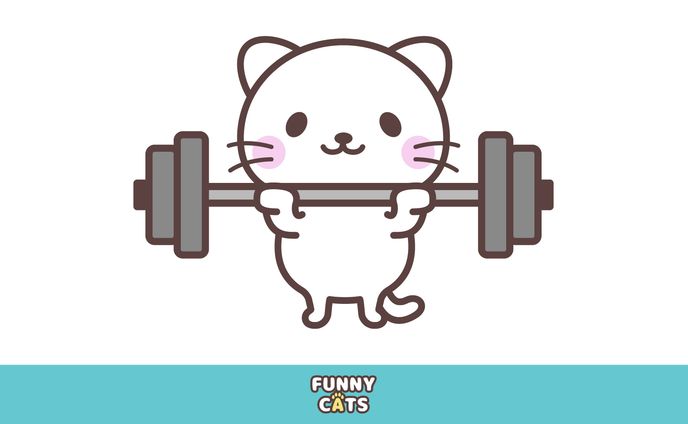 筋トレする猫