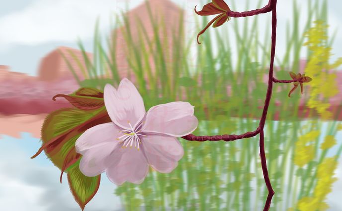 桜