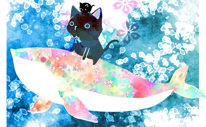 黒猫nyaとキラキラ海