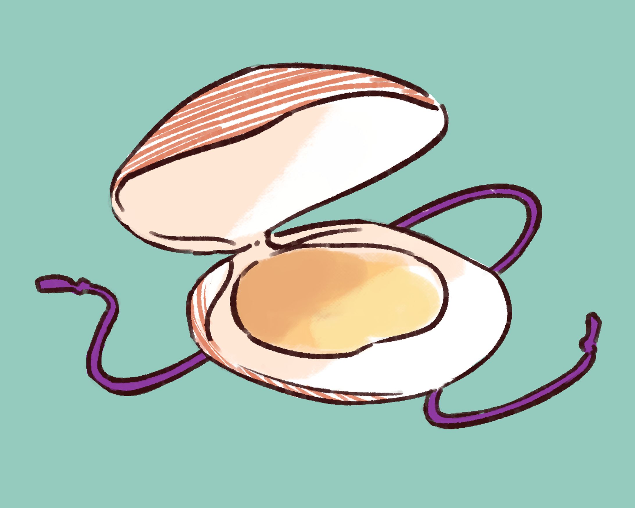 【お仕事】新聞連載小説「星のおちた海」挿絵②-1