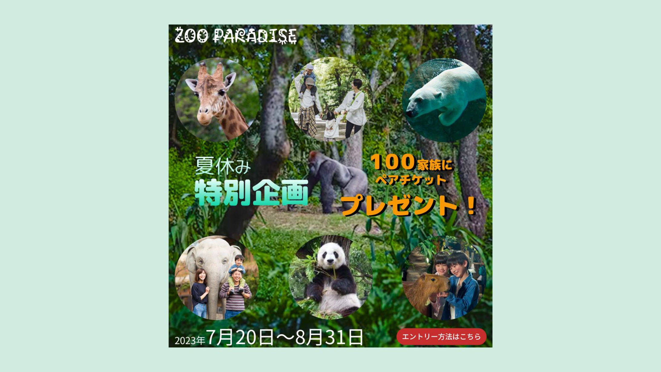 動物園バナー-1