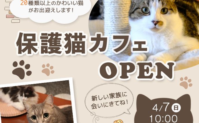 【バナー】保護猫カフェ告知バナー