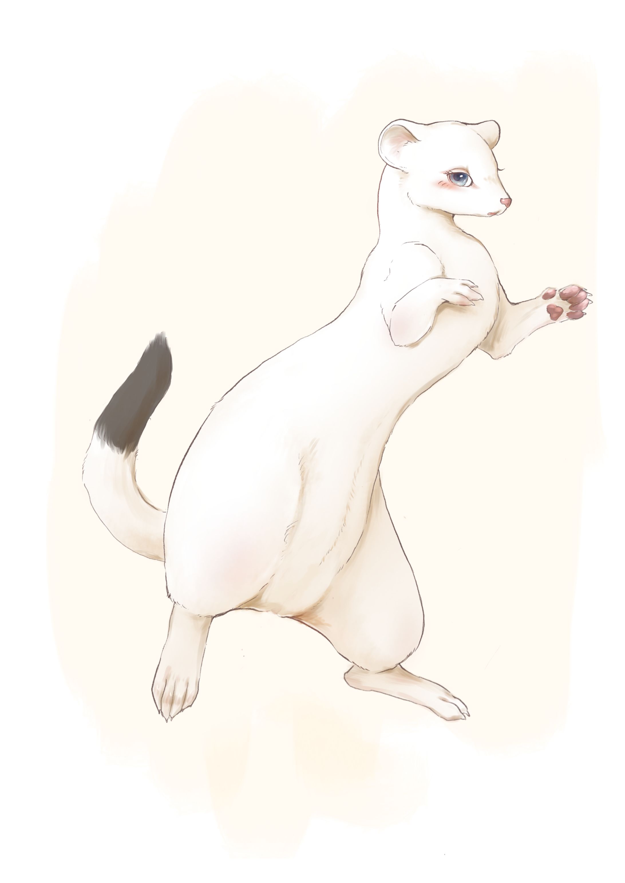 0BC428D8 0E41 4AB4 A17A 6A3DC46D5C66-1