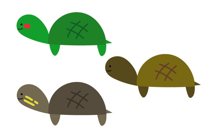 動物イラスト　教育用