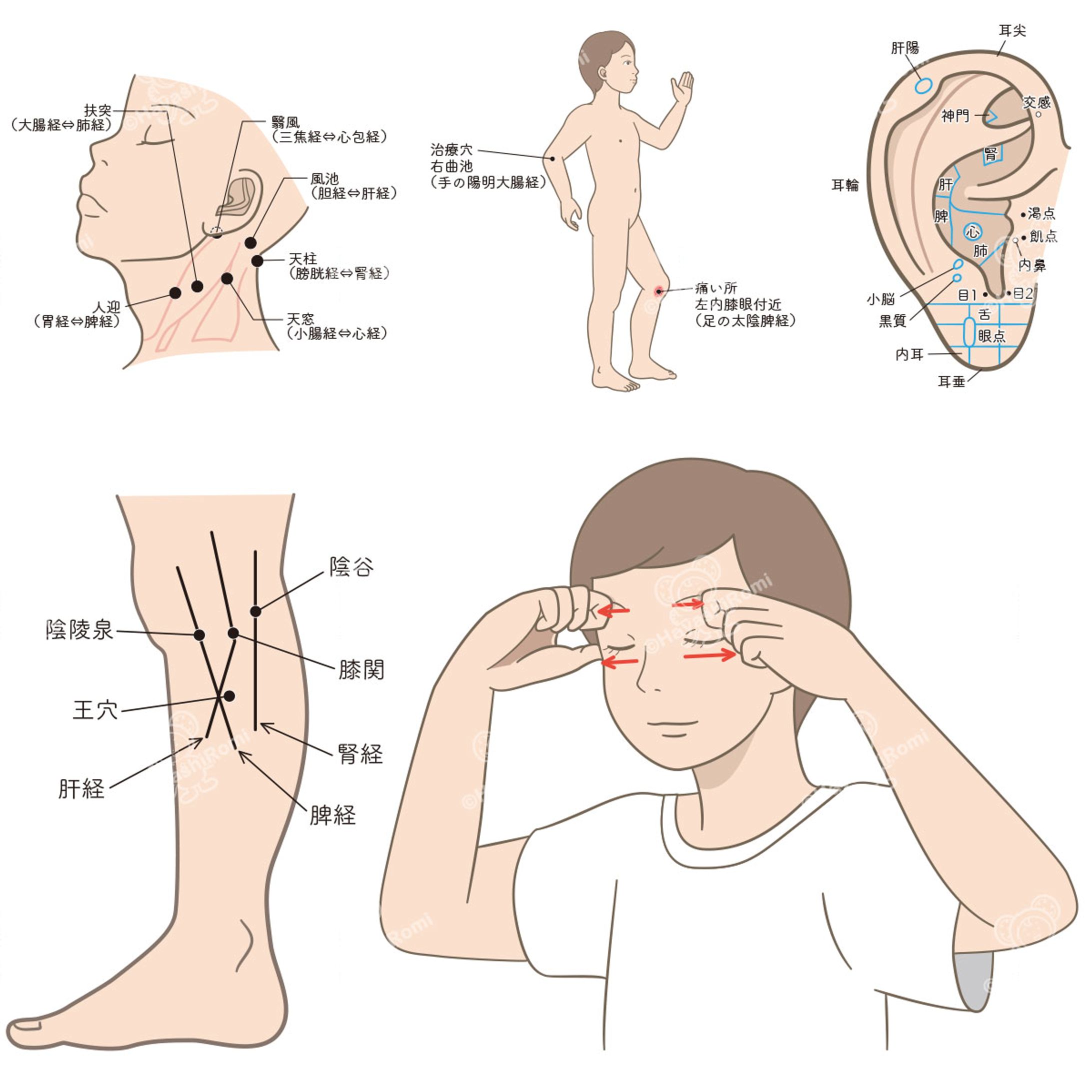 陰陽太極鍼（日本の医道社）-1