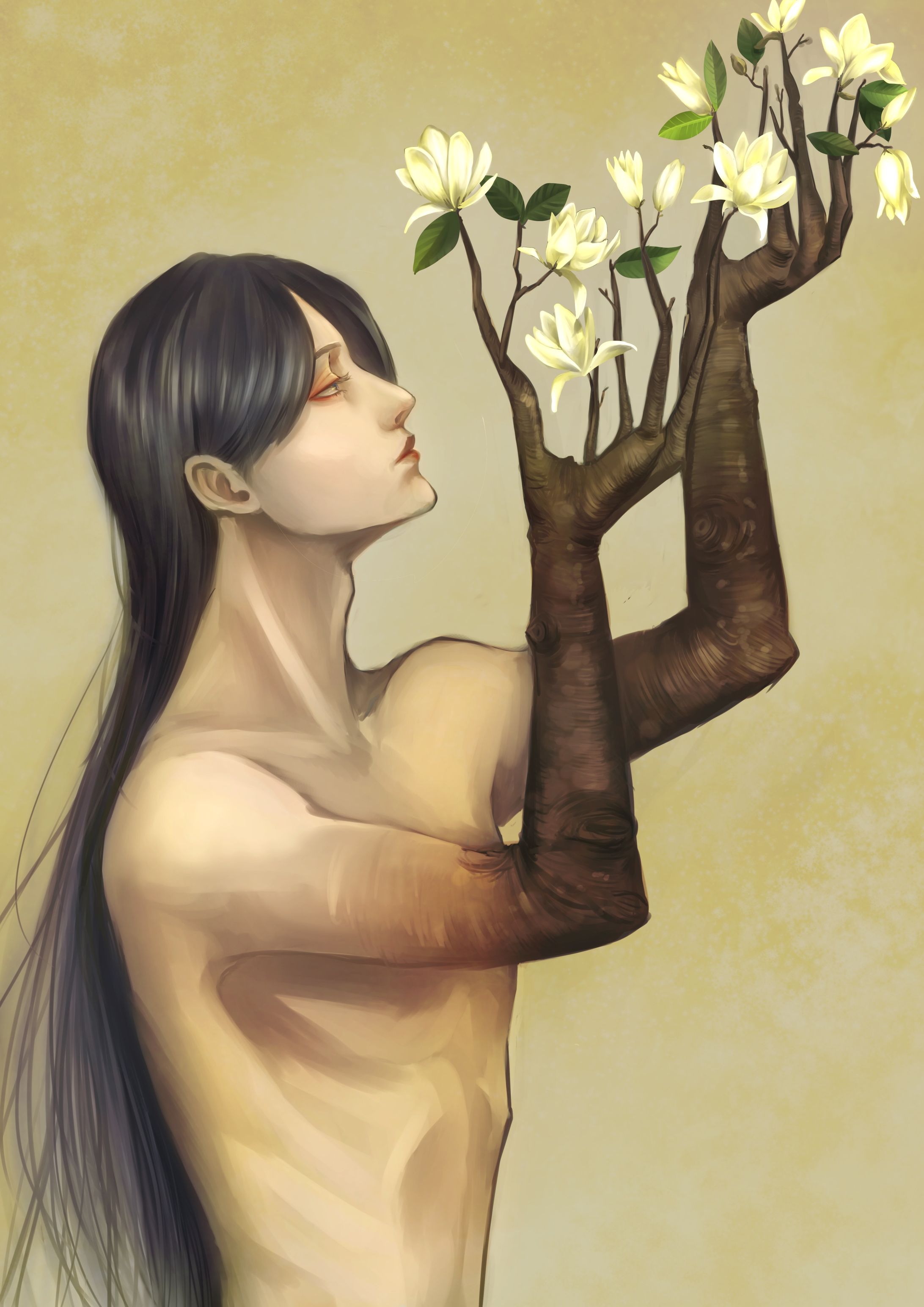 magnolia-1