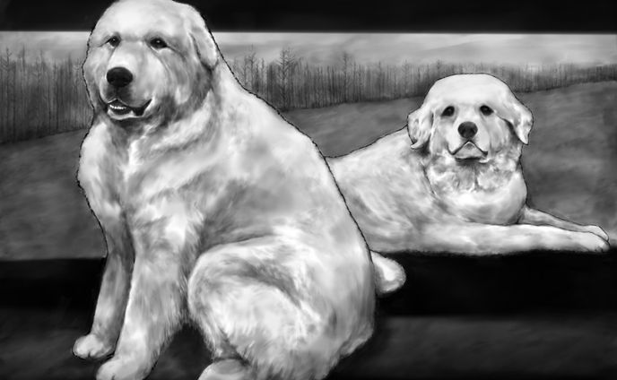 犬　　モノクロ　:monochrome dog