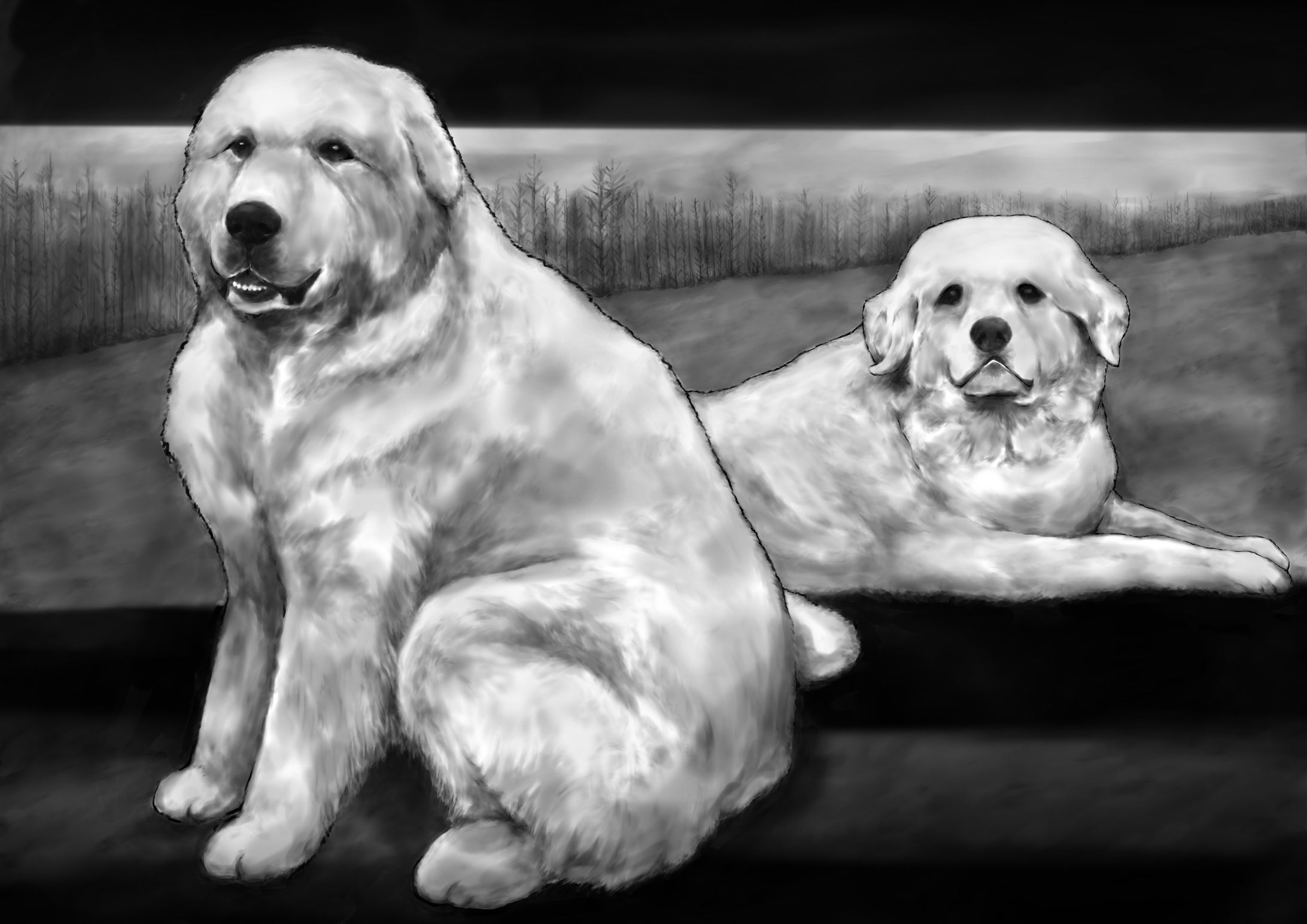 犬　　モノクロ　:monochrome dog-1