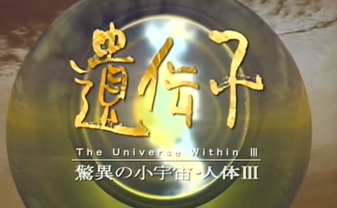 NHKスペシャル 「驚異の小宇宙・人体Ⅲ」 CG担当（1999年制作）