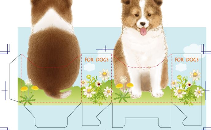犬ケース、企画もの