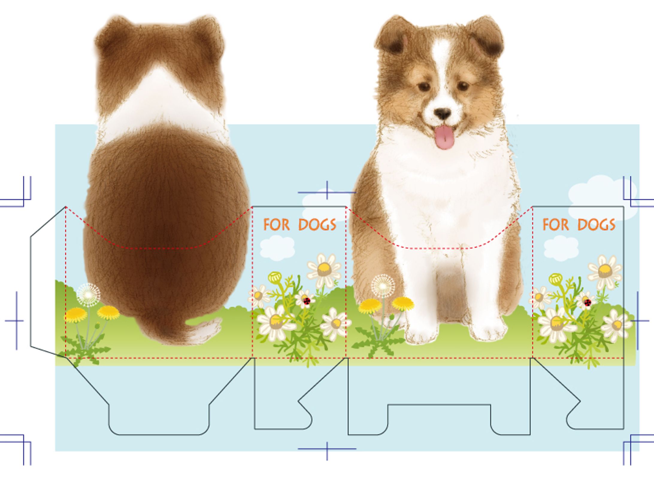 犬ケース、企画もの-1