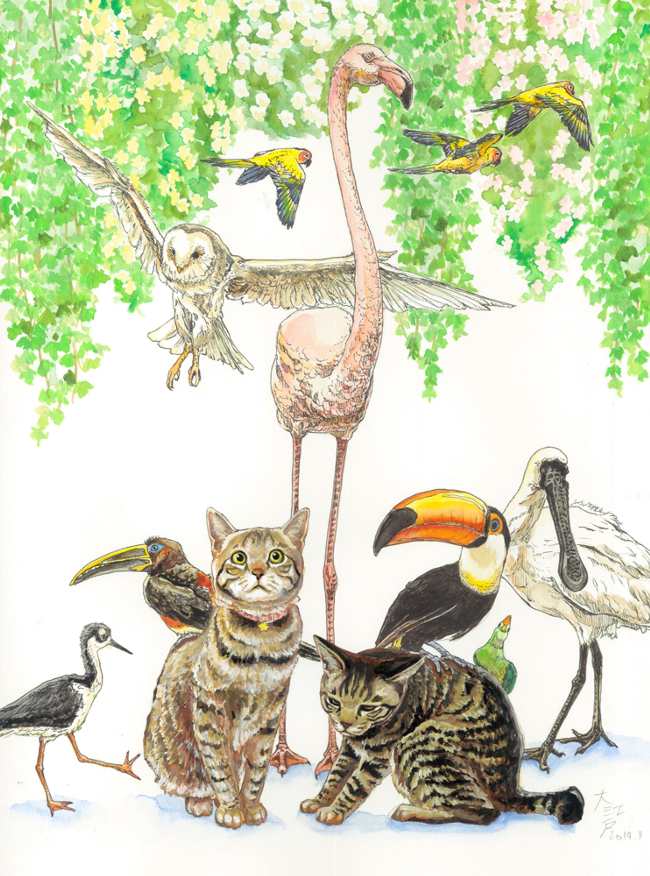 鳥たちと猫たち-1