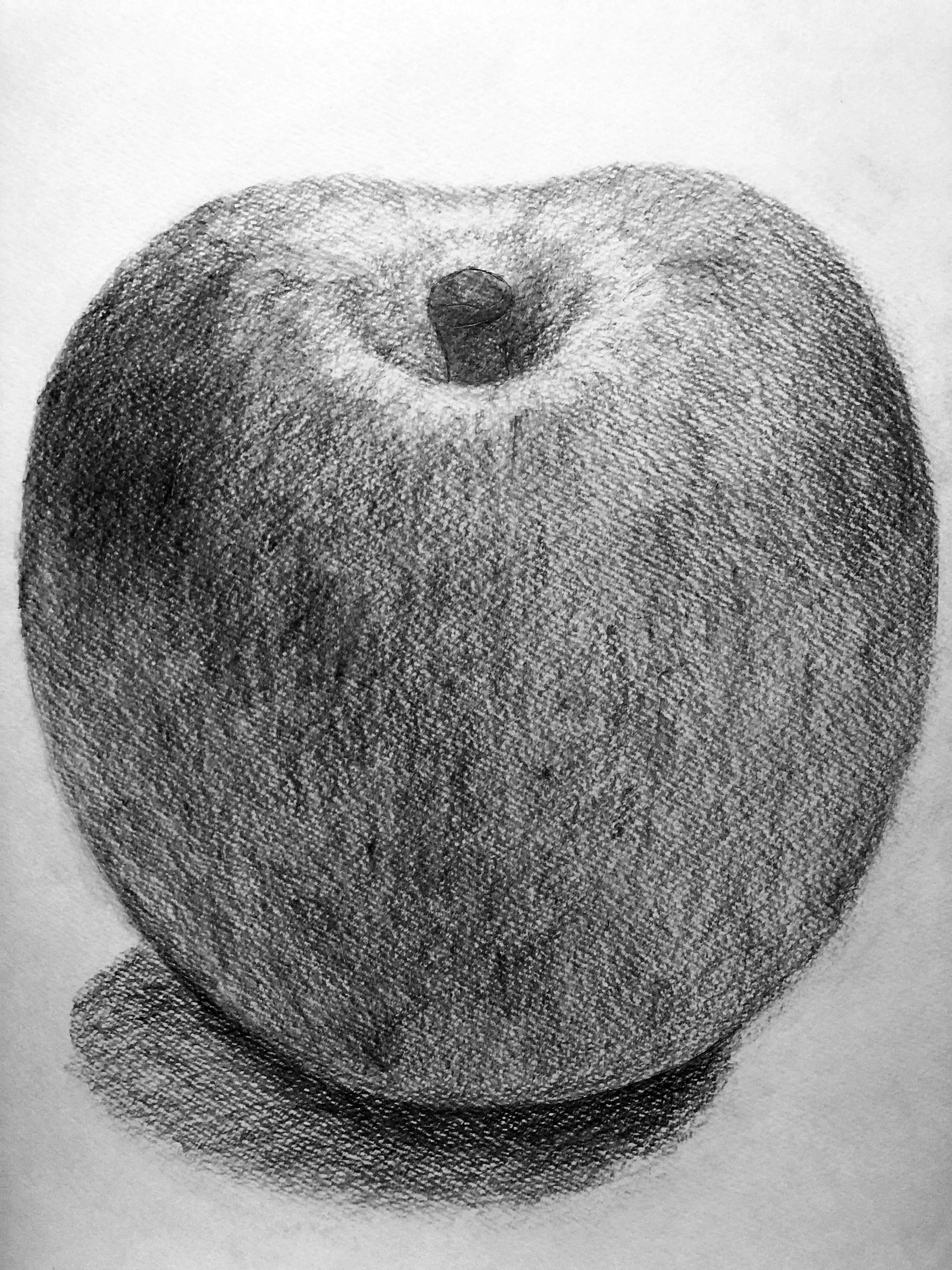 りんご鉛筆デッサン-1