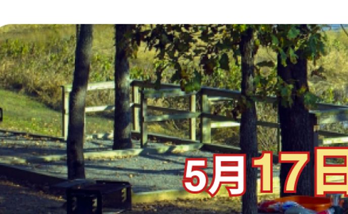 Day Nature　アウトドア用品ECサイト内バナー