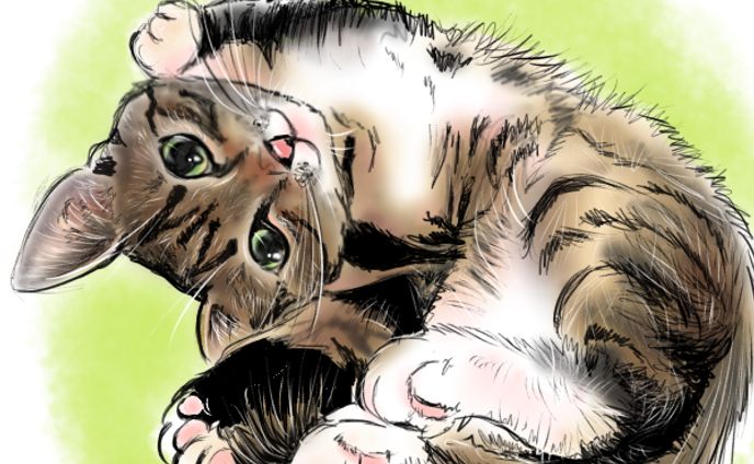 動物似顔絵