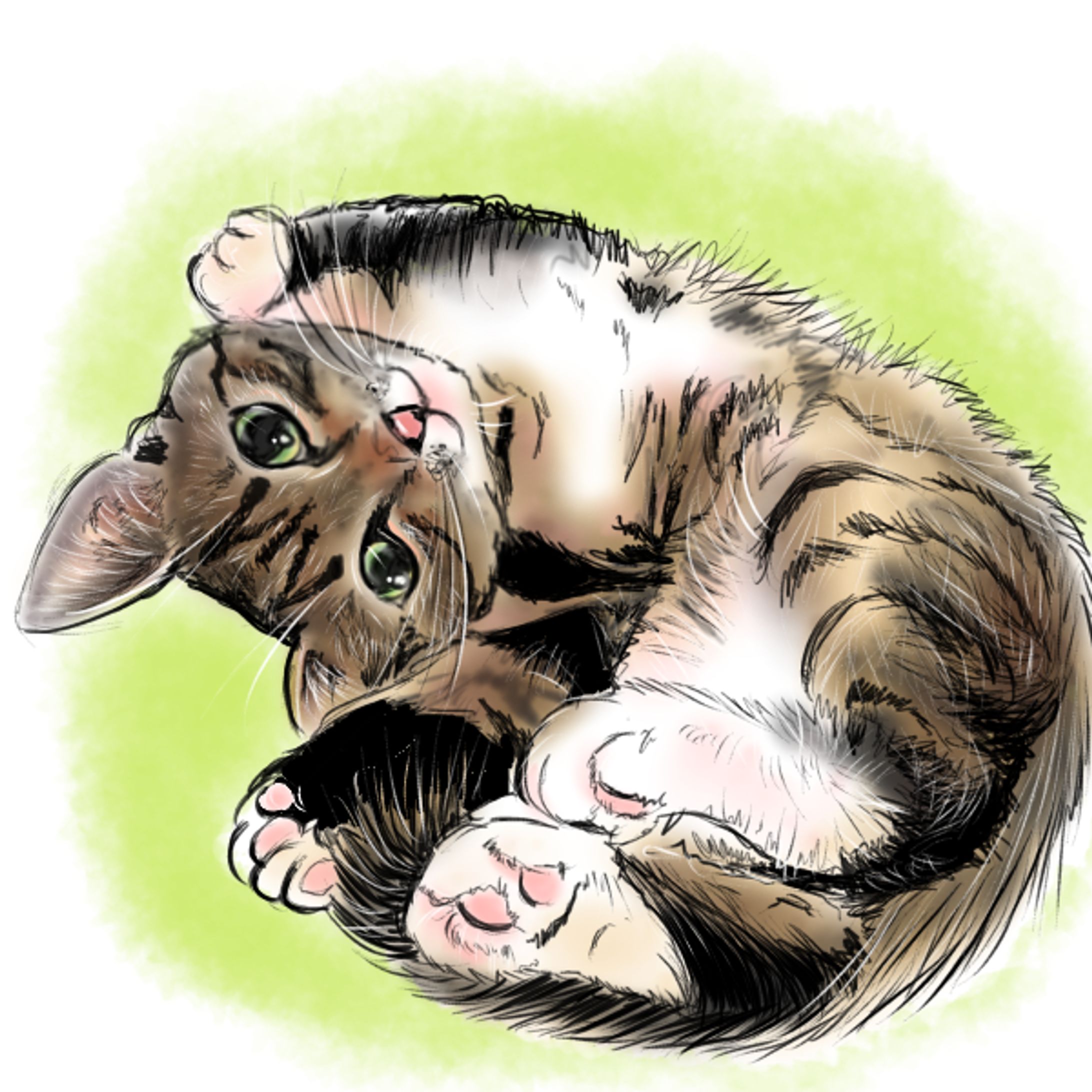 動物似顔絵-1