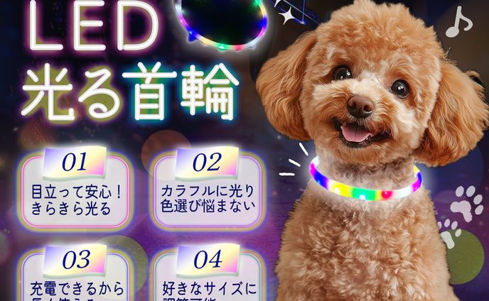 光る首輪LP (FV)
