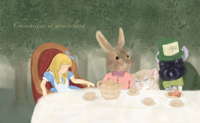 Chinchillas in wonderland 