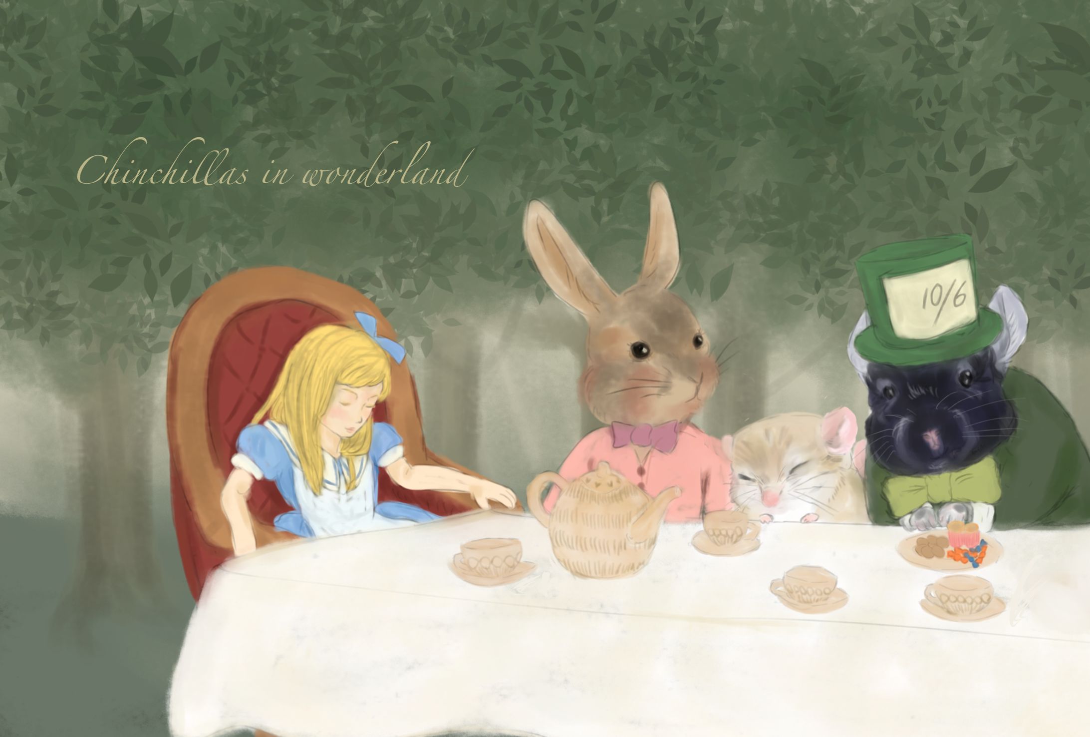 Chinchillas in wonderland -1