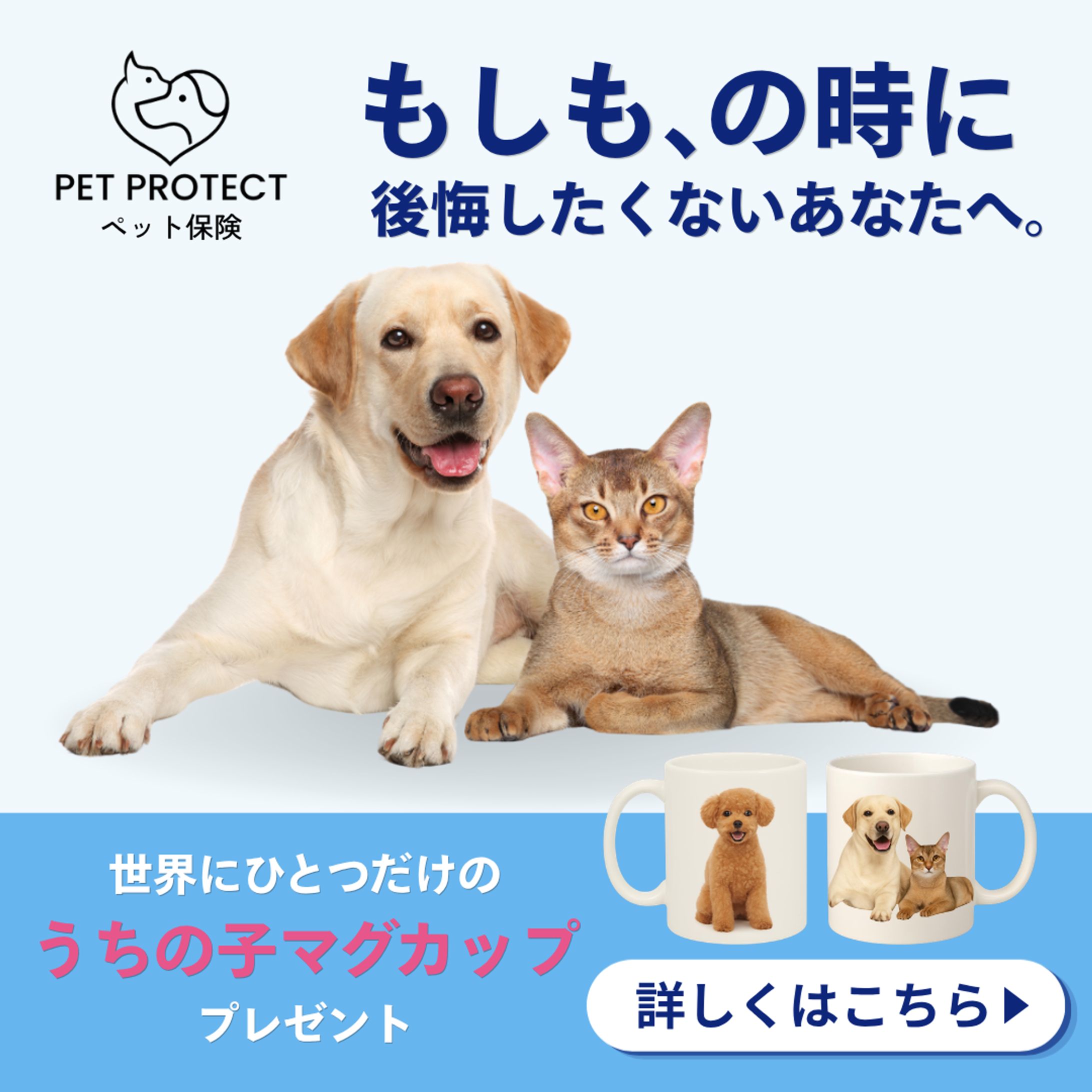 【架空案件】ペット保険-1