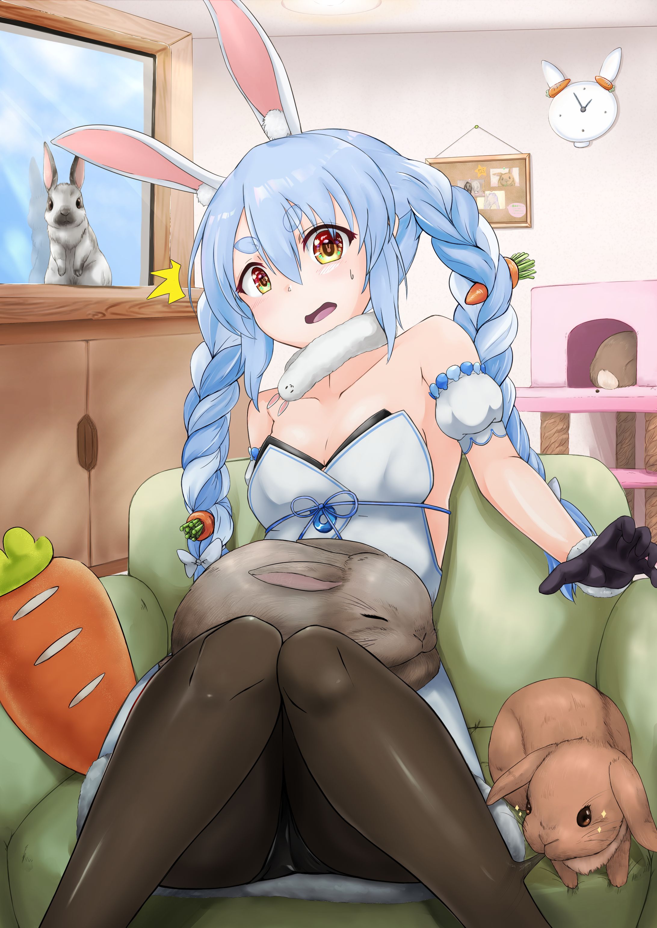 🐇🐇🐇🐇🐇-1