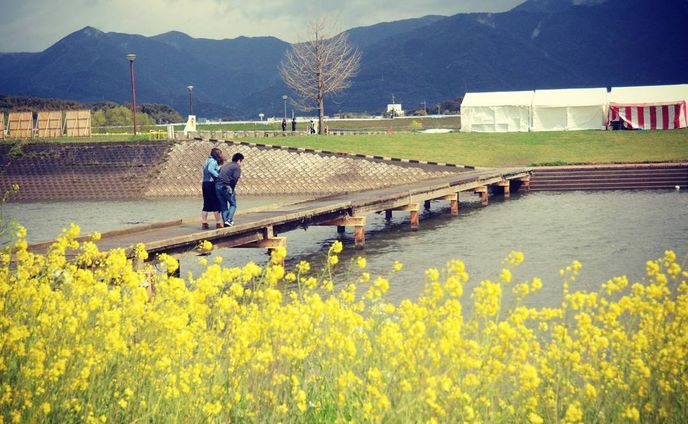 恋路
#nikond7000#福岡県#直方市#菜の花#川#風景#landscape