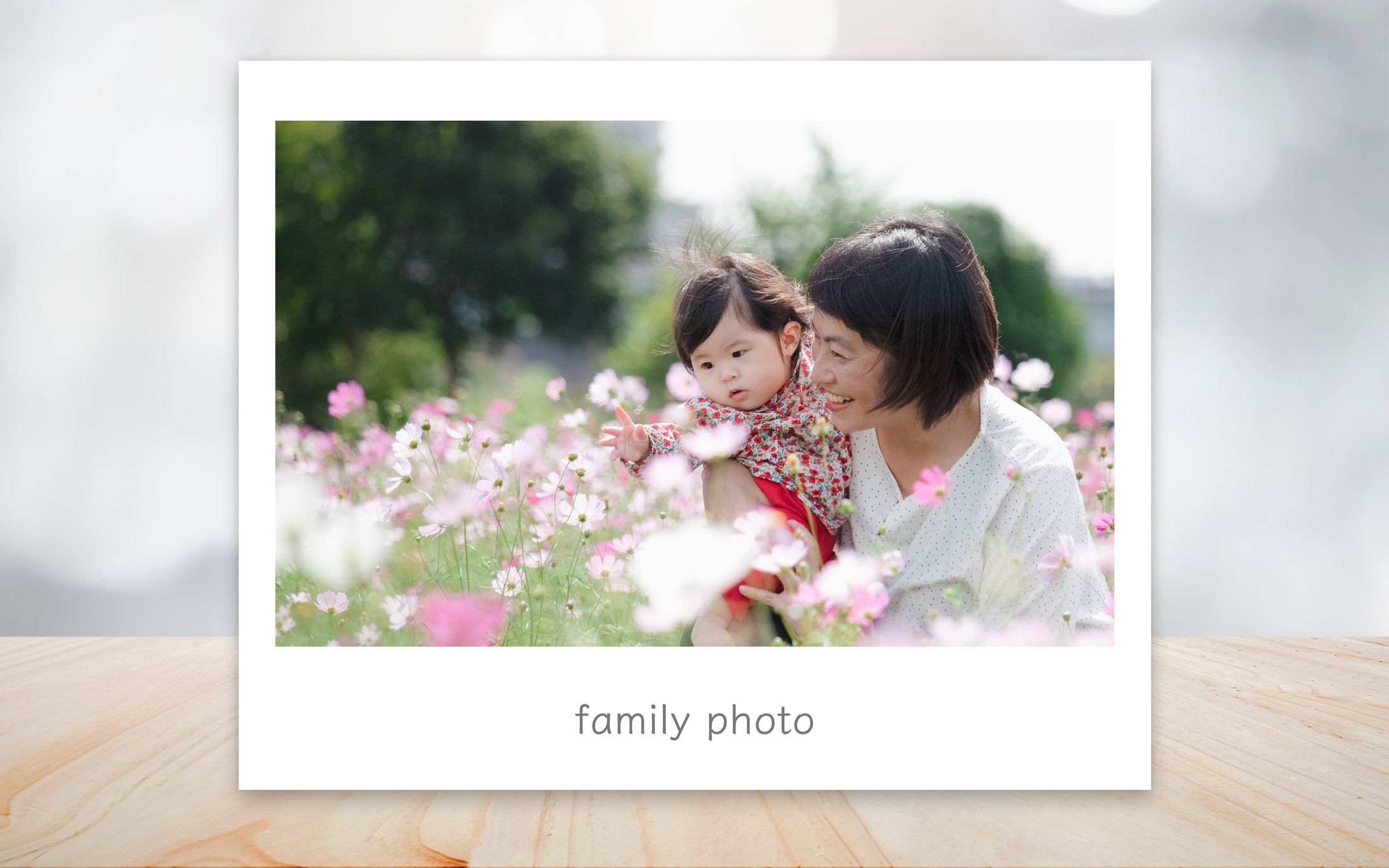 親子撮影（コスモス）-1