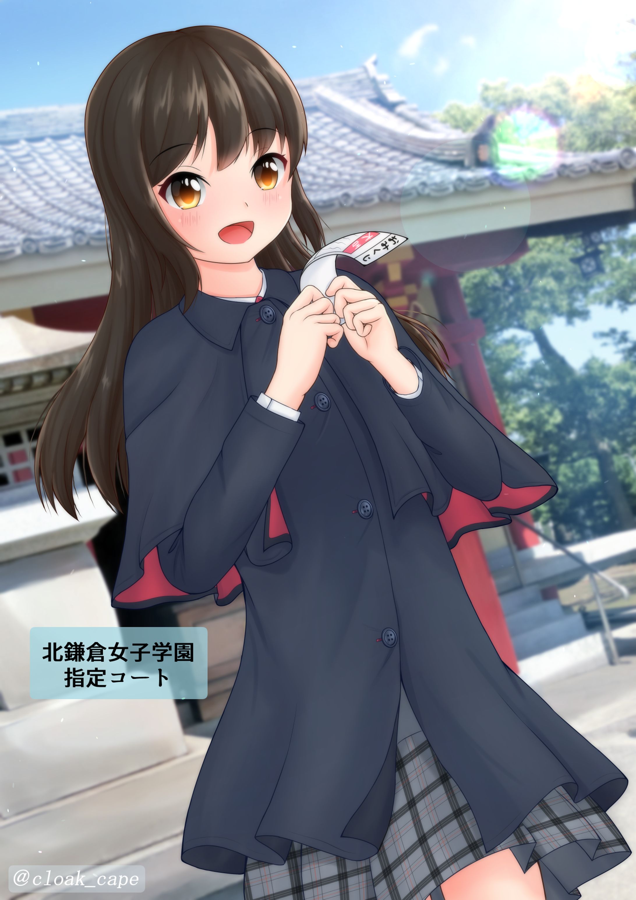 おみくじの結果は…-1