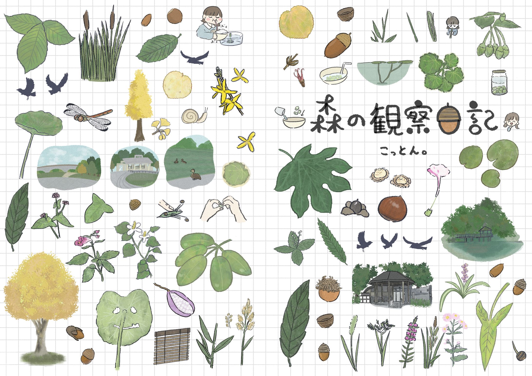 森の観察日記-1