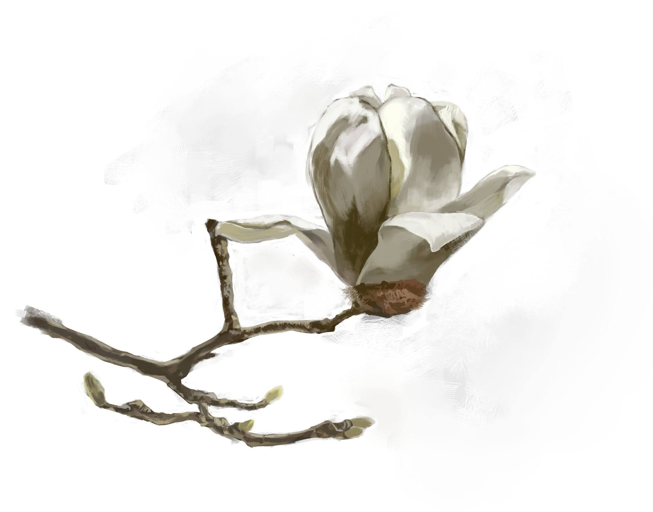 模写-1