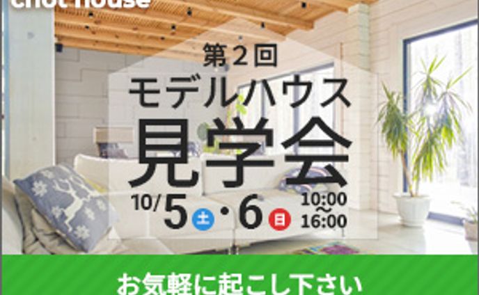展示、モデル