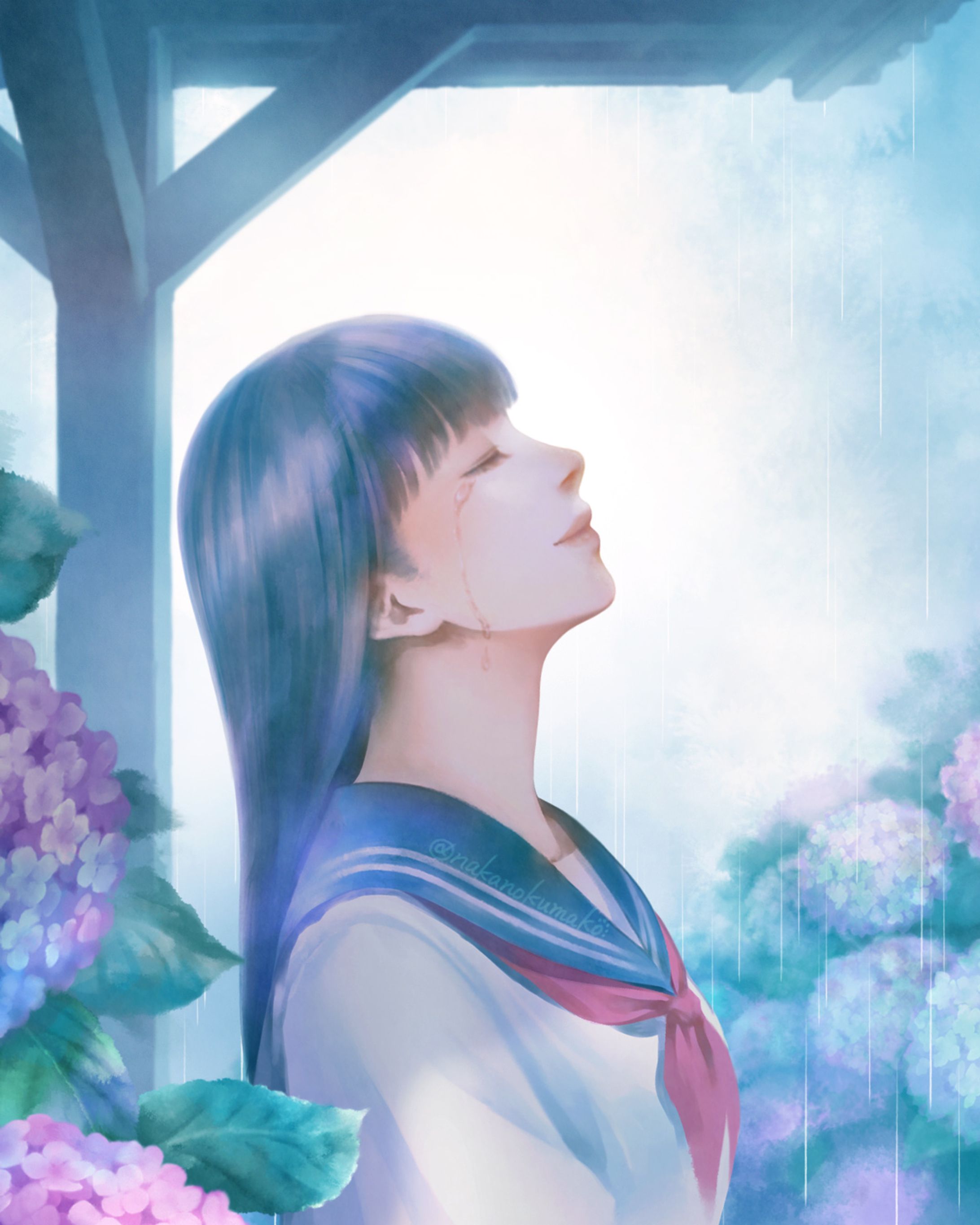 ＜アジサイ＞-1