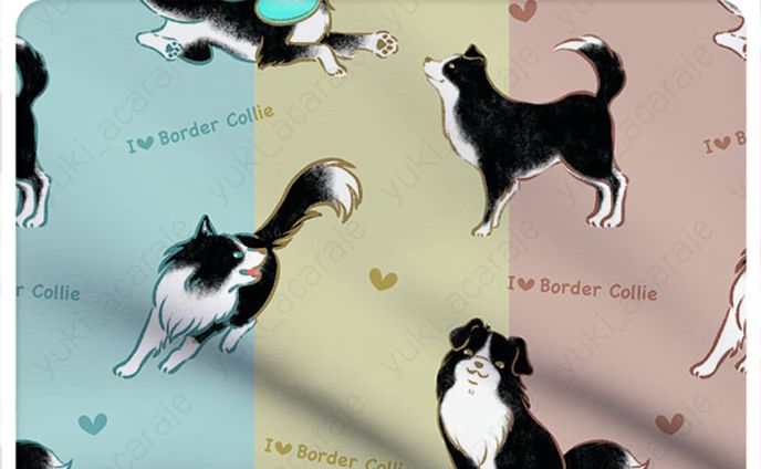  I LOVE Border Collie