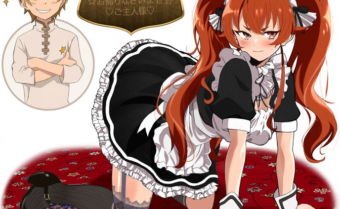 メイドエリス完成　解像度邸