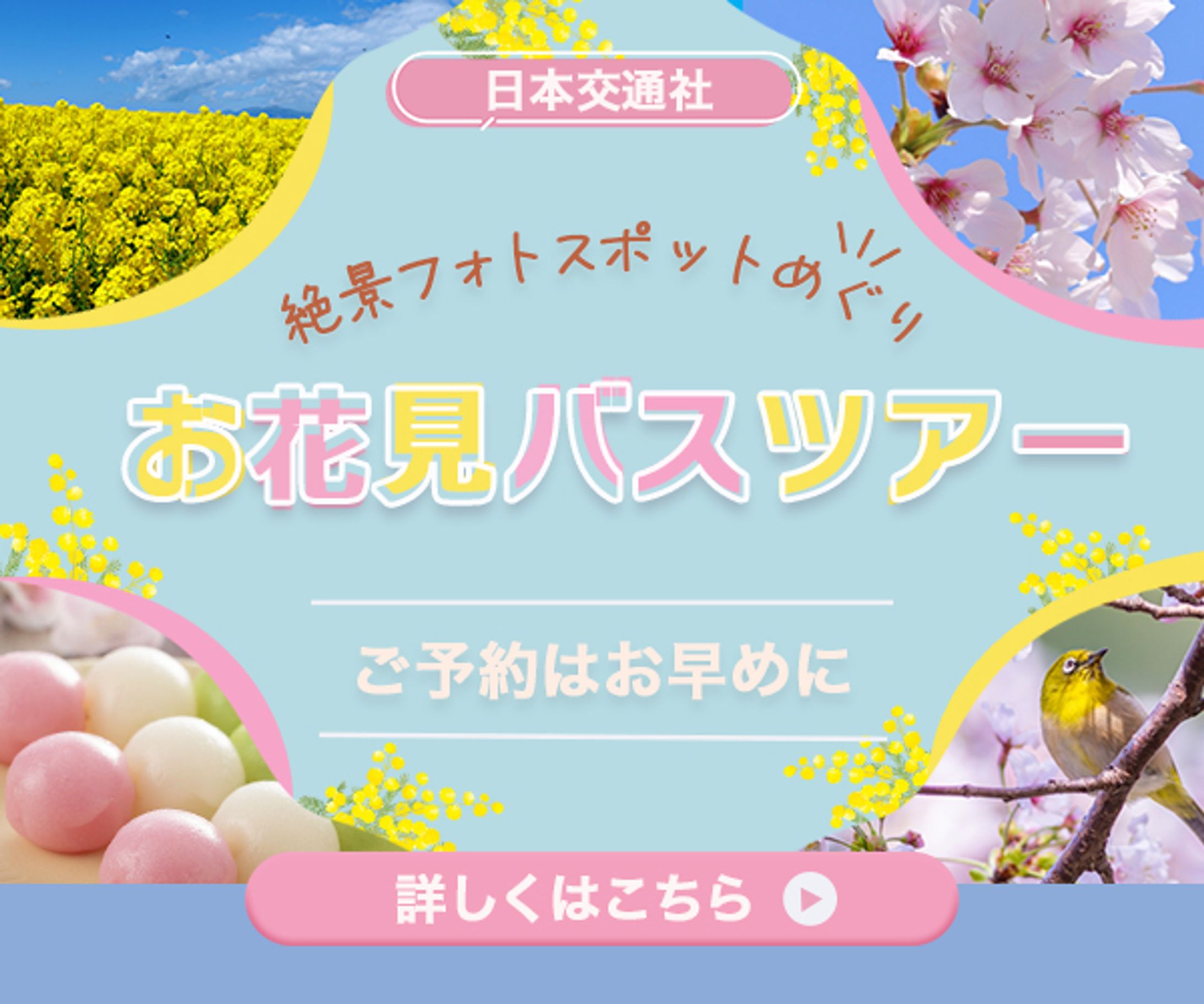 バナー：お花見バスツアー-1