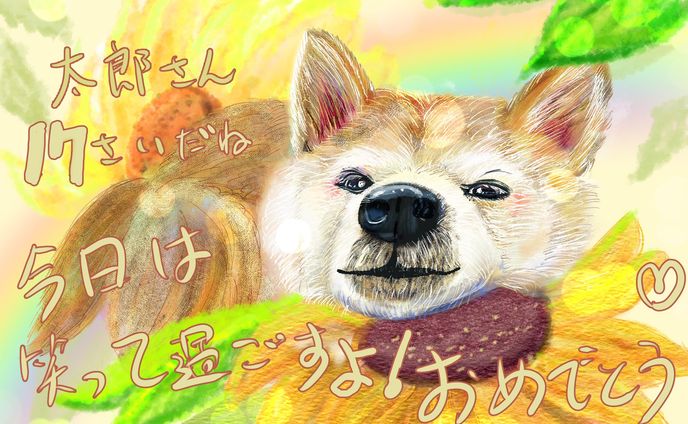 太郎おめでとう