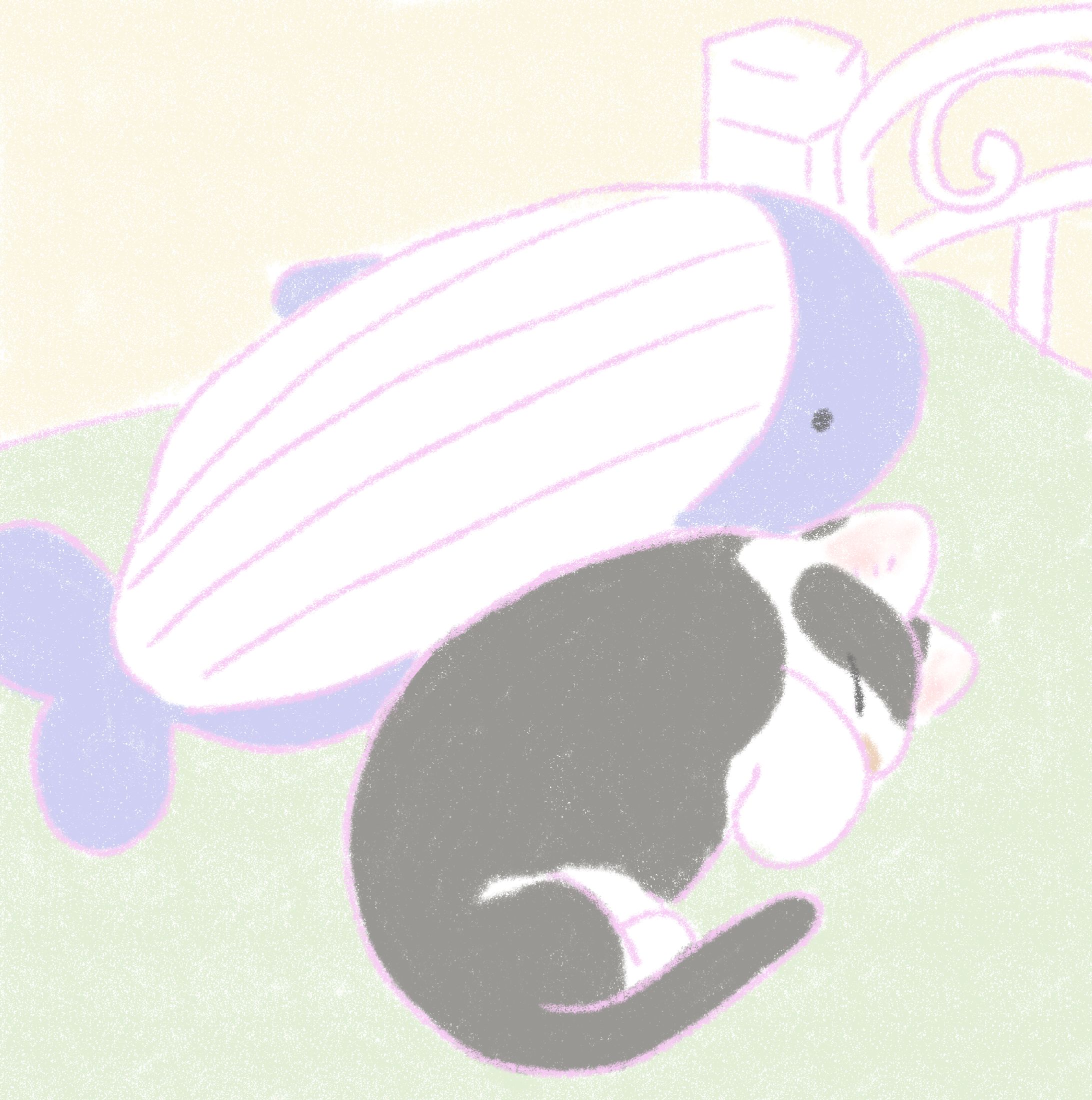 くじらとねこ-1